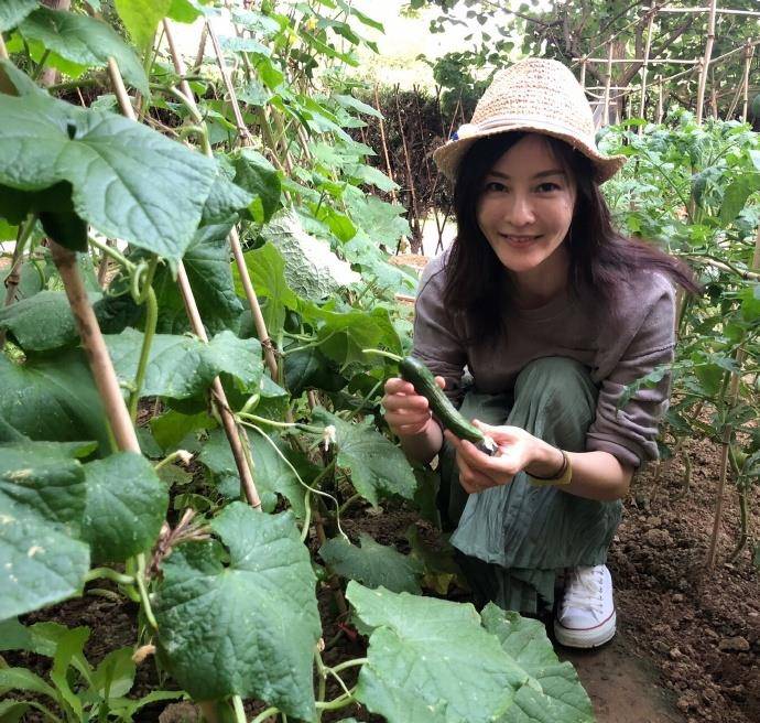 角色|《少年派》钱三一妈妈被骂惨，刘孜被牵连，郭京飞亲自下场安慰！