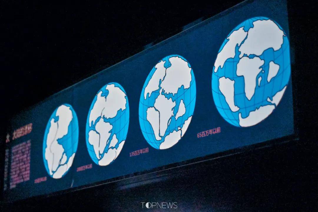 深藏BLUE！同济大学深海探索馆真的火了！