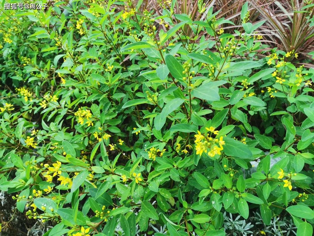 员工|周公子说 | 很多时候，人是被自己作死的