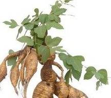 蔬菜|血糖一高，五大并发症随之而来，坚持6个好习惯，能控制好血糖！