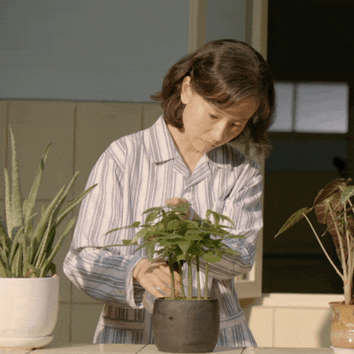 剧情|《母亲大人》首播：剧情老套，节奏拖沓，董洁尹昉扮母子让人出戏