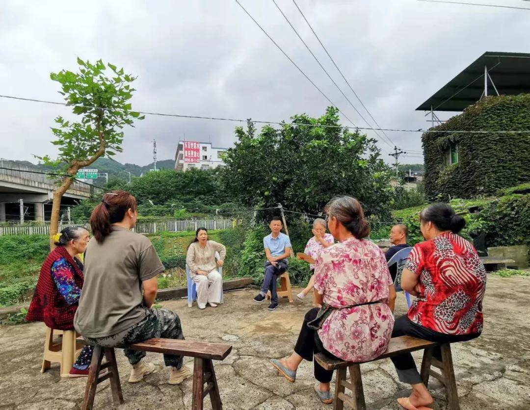 环境|沙坪坝：田园处处美，乡村一片新