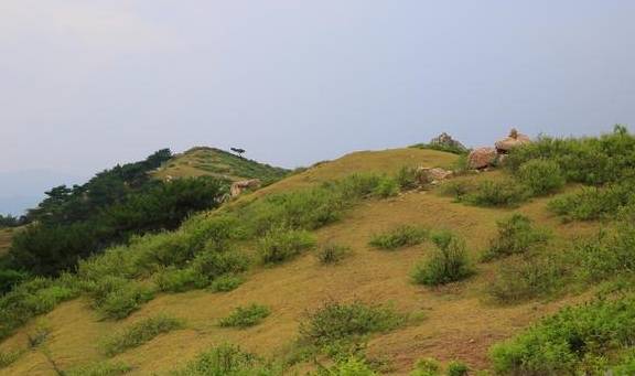 怎么看山上有没有野生动物 339cd154ee8d45e59d8f2ee6f0fbb04f.jpeg