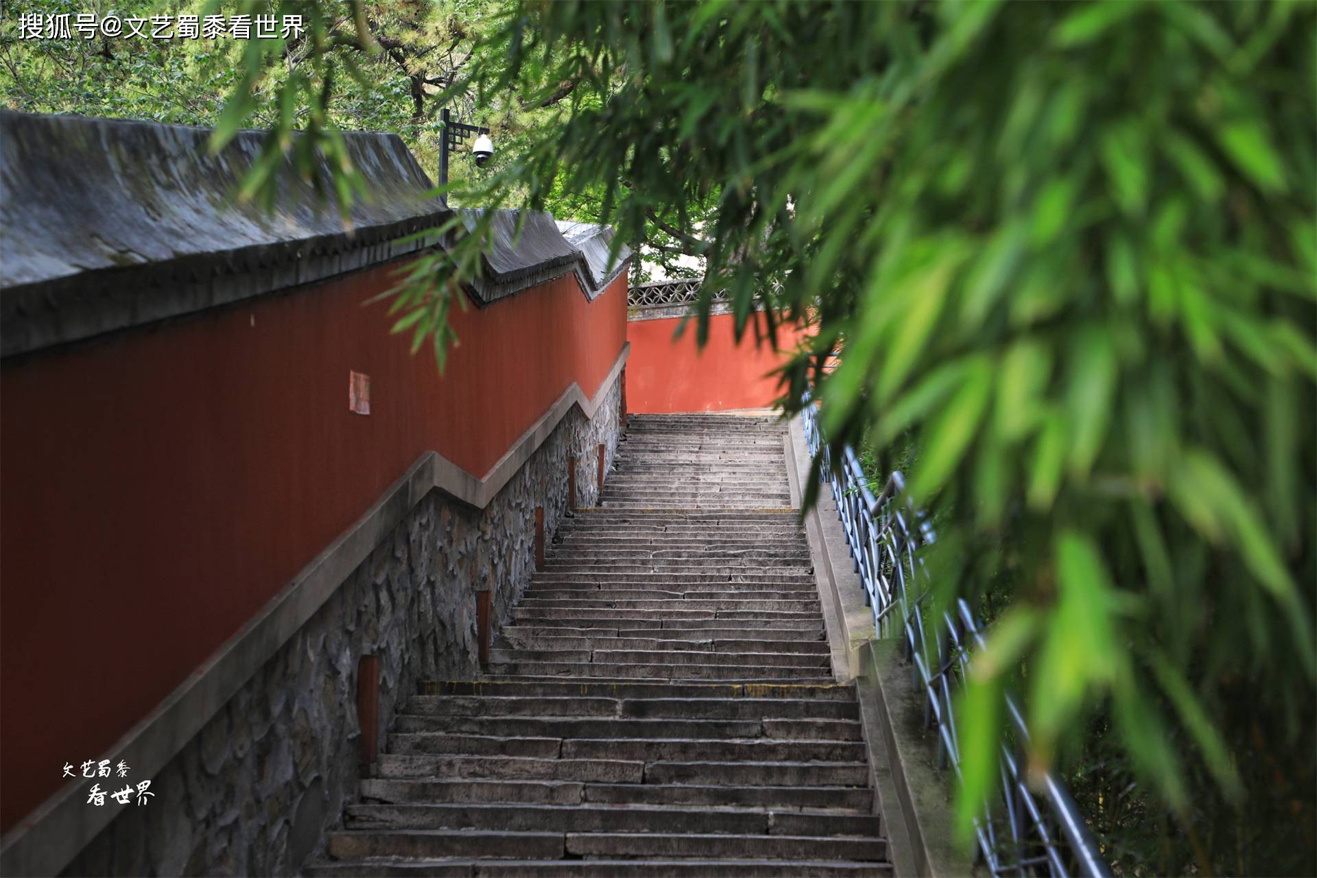 因其寺後有龍潭,寺前有柘樹,故被民間稱其為