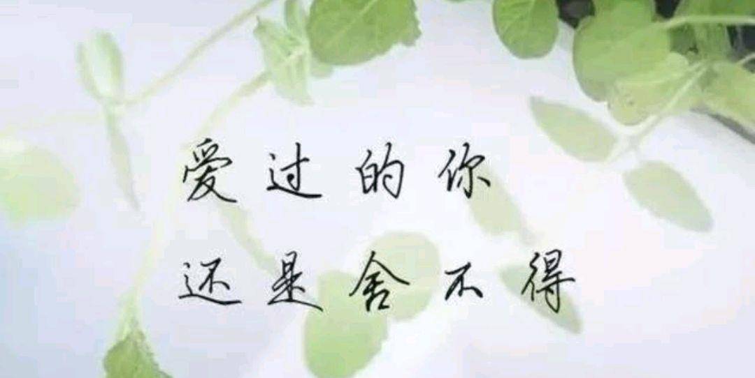 7b73ba6cc8e8446ab3d6bf23c74cfe44.jpeg