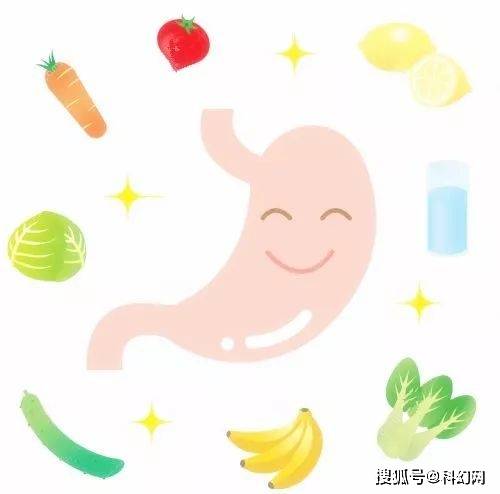 刘亚珠|胃会越撑越大,越饿越小甚至萎缩么?