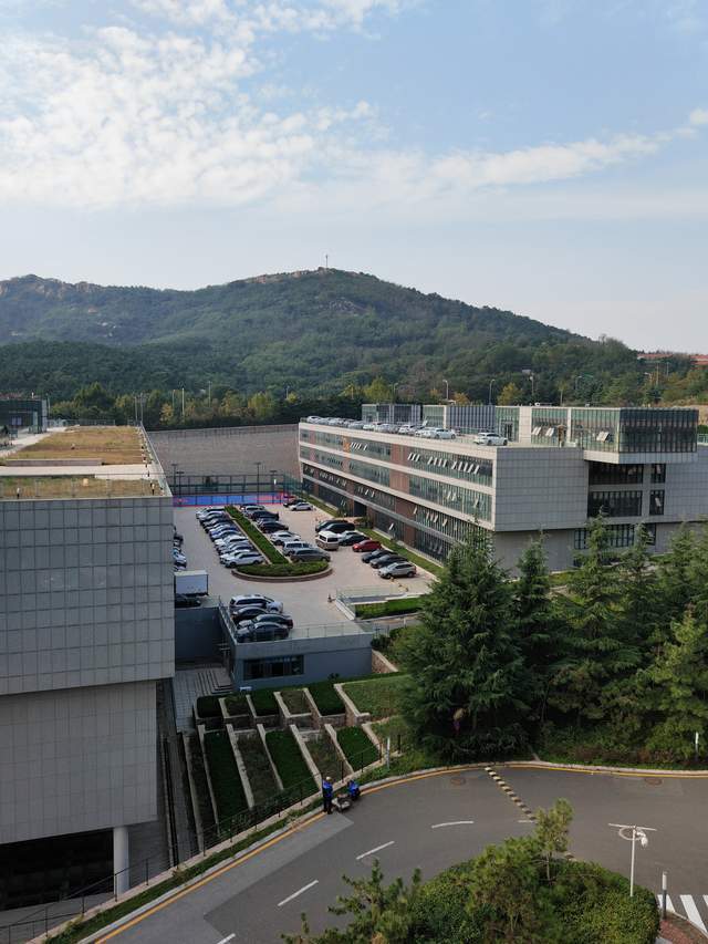 影像力冲顶高端市场！荣耀 Magic3 系列多主摄融合计算摄影体验如何？