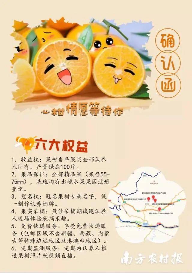 一颗千年贡柑的新故事