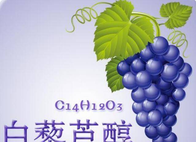 补充|为何爱喝红酒的“上流人士”逐渐增多？行家说出这3点，句句在理