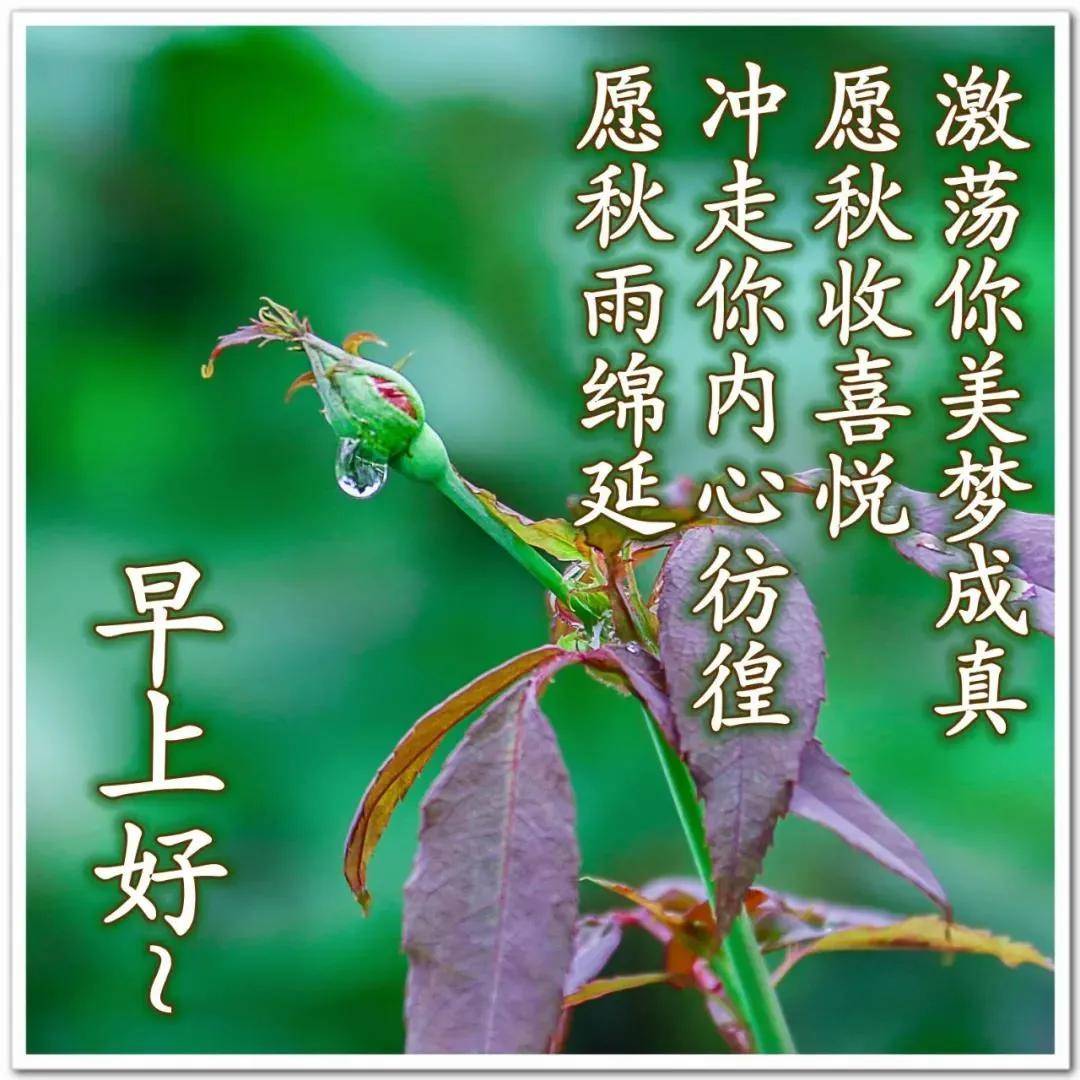 原创8张非常漂亮秋日风景早上好图片带字带祝福语好看的秋天风景早安