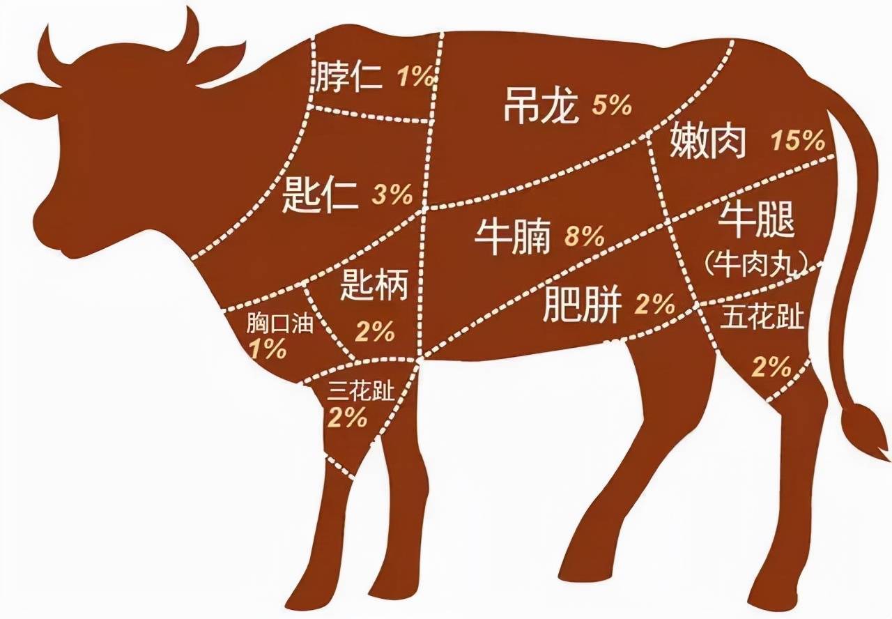 牛的各个部位名称图解图片