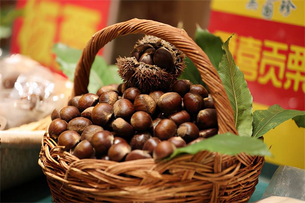 河北板栗公用品牌发布会在唐山举行