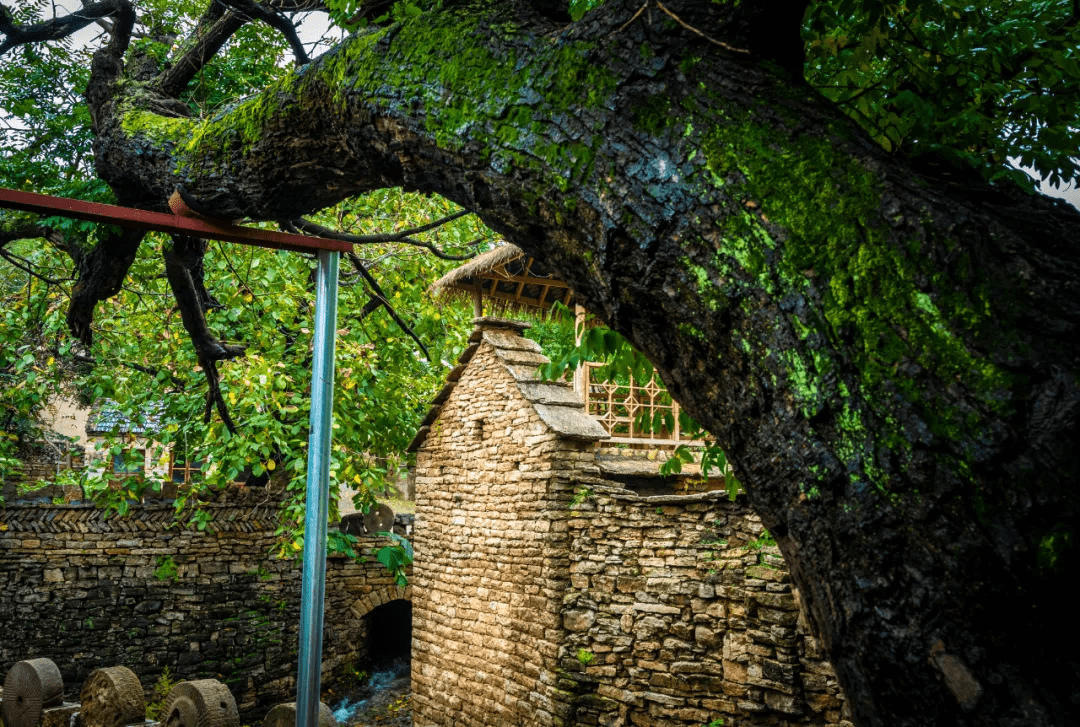 王啸|听石头“说话”，走进济南这个小山村，仿佛坠入画卷般的“烟雨江南”！