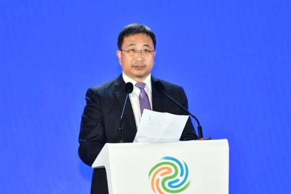 4亿元南京市副市长,溧水区委书记林涛,市政府副秘书长,市临空办专职副