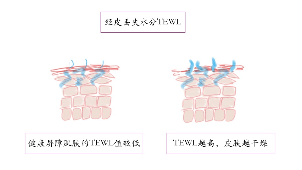 治疗斥巨资医美后，护肤选择该降级还是升级？