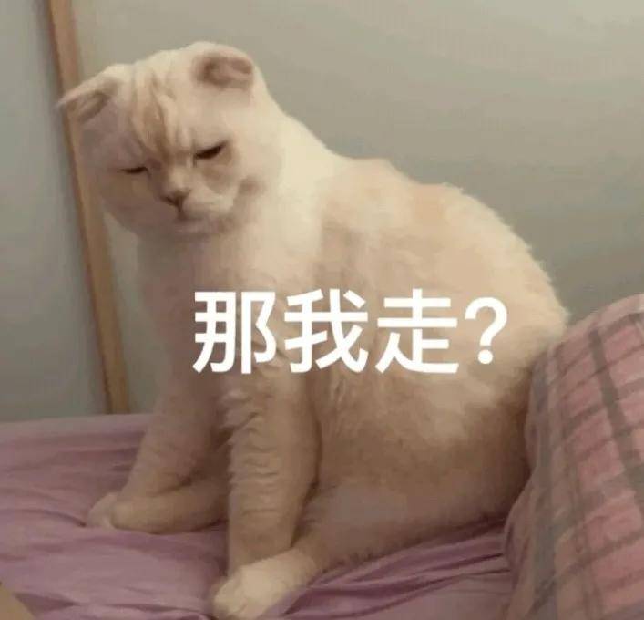 241b5faf3bf74d708d5a8334ecec93f0.jpeg
