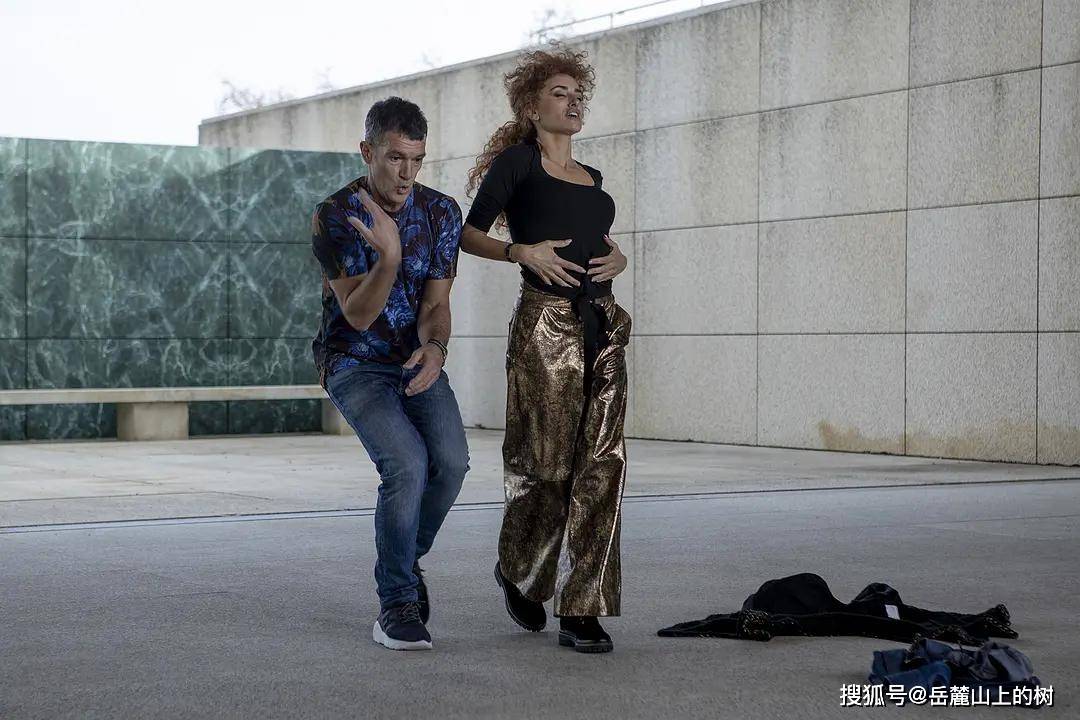 电影|《主竞赛》关于电影的喜剧电影