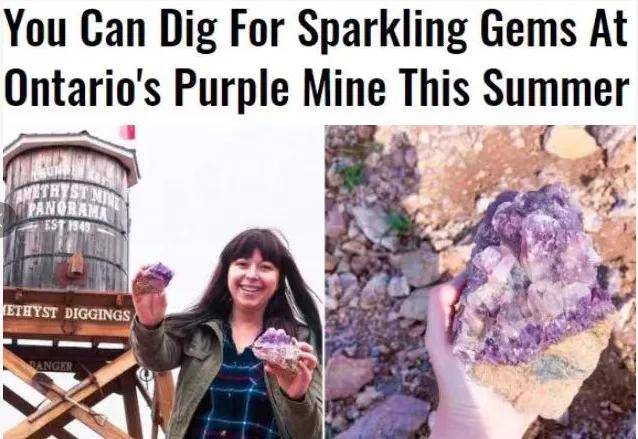 惊呆了！加拿大这个地方遍地紫水晶！每年只开5个月，找到都是你的