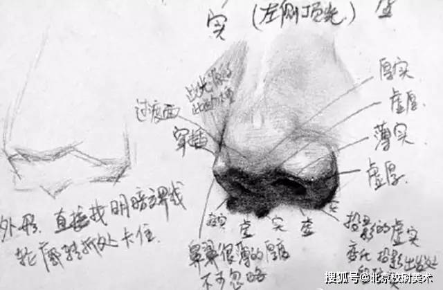 素描校尉美术：素描五官详解，看完这篇搞定素描头像！