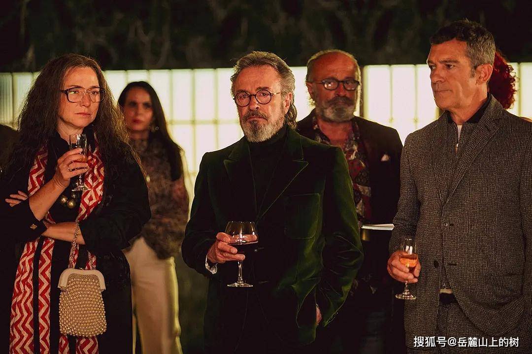 电影|《主竞赛》关于电影的喜剧电影