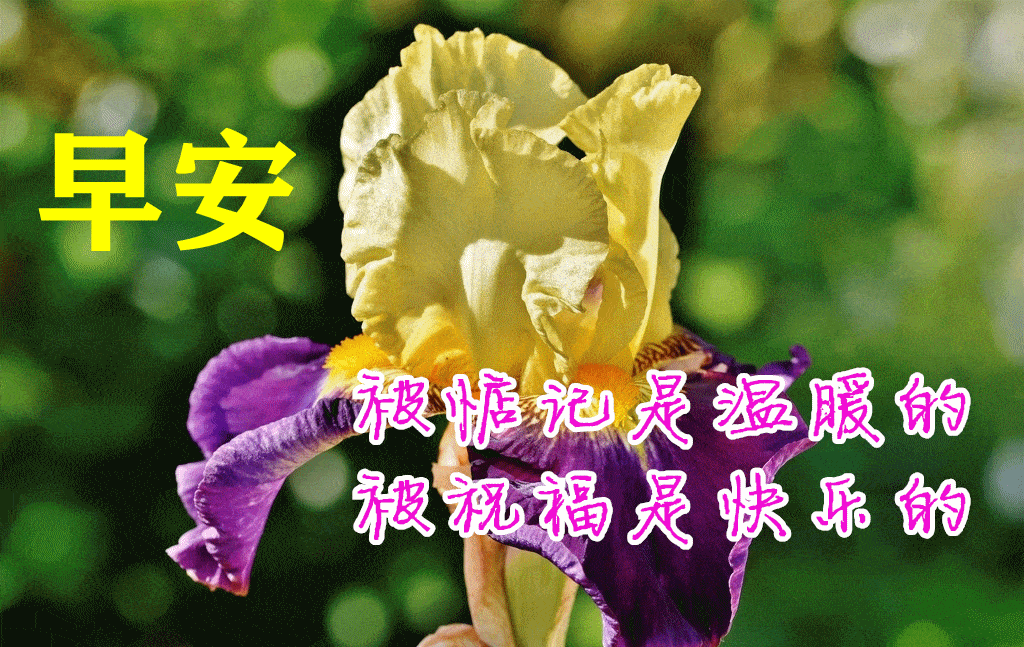 原创8张最新漂亮秋日天冷了关心问候动画带祝福语早安问候祝福动态