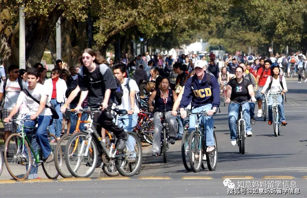 全美最佳自行车友好大学——这所名校排第一！