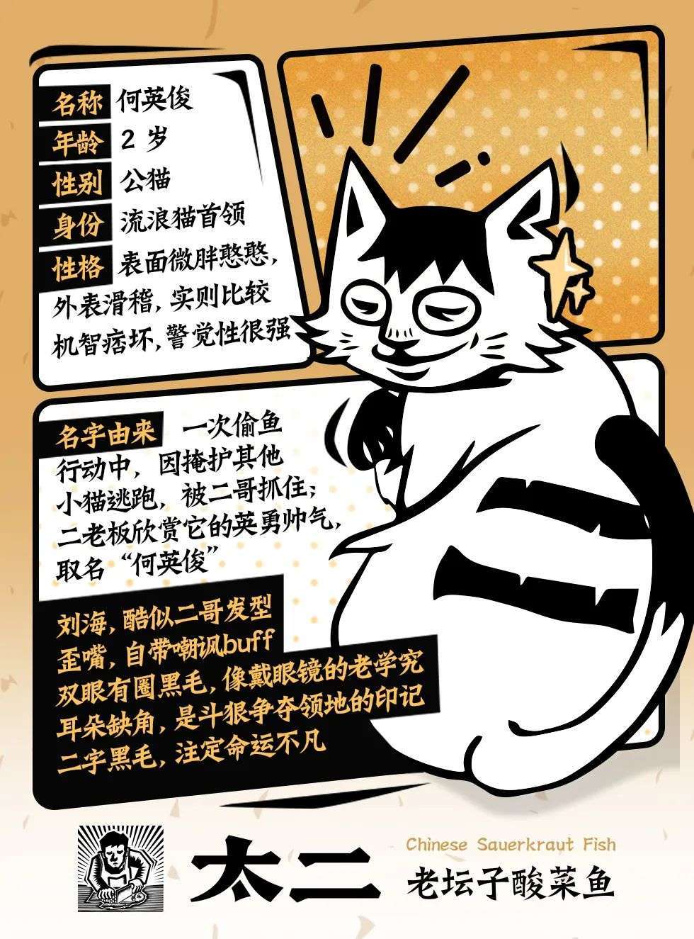 品牌 太二酸菜鱼，怎么让流浪猫也吃上了？