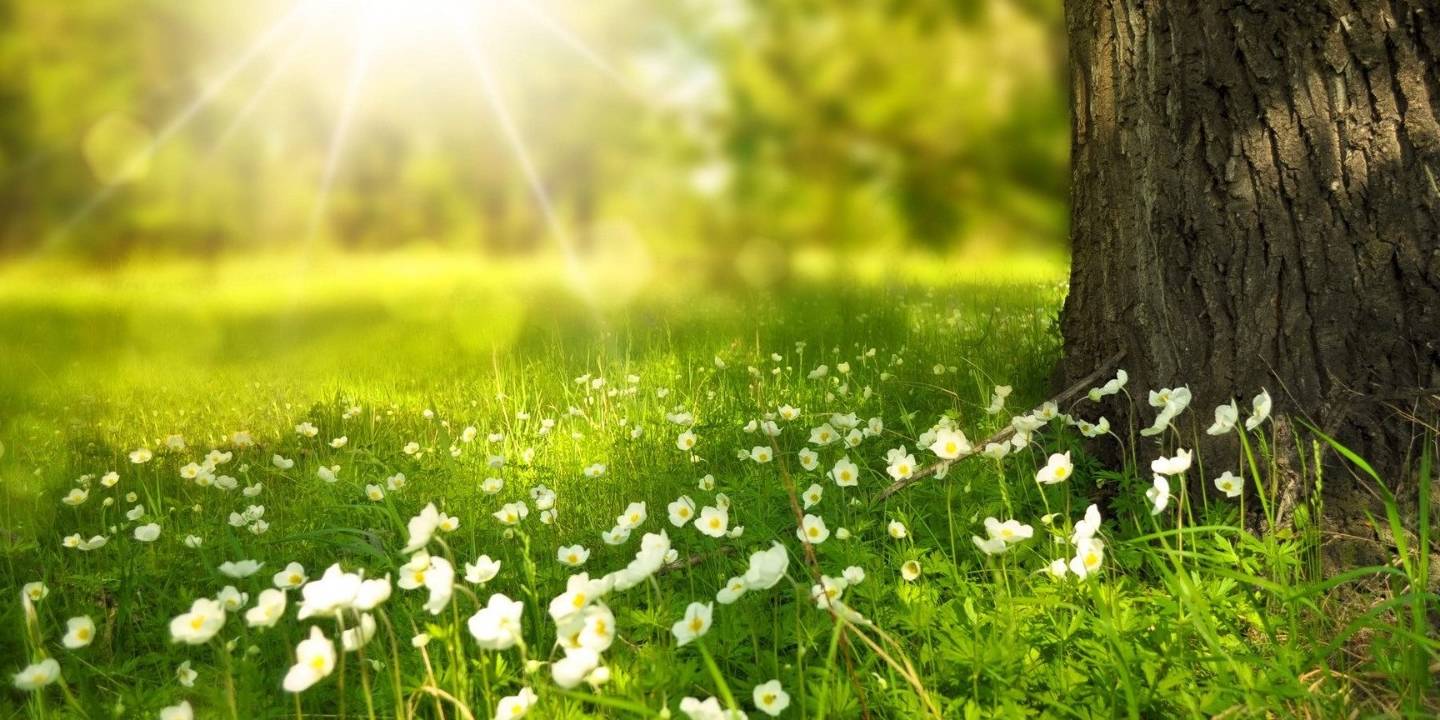 年最后三个月这四大星座运势波动较大 买马开奖结果 澳彩今晚开奖结果 澳门开奖结果 香港码今晚开奖结果