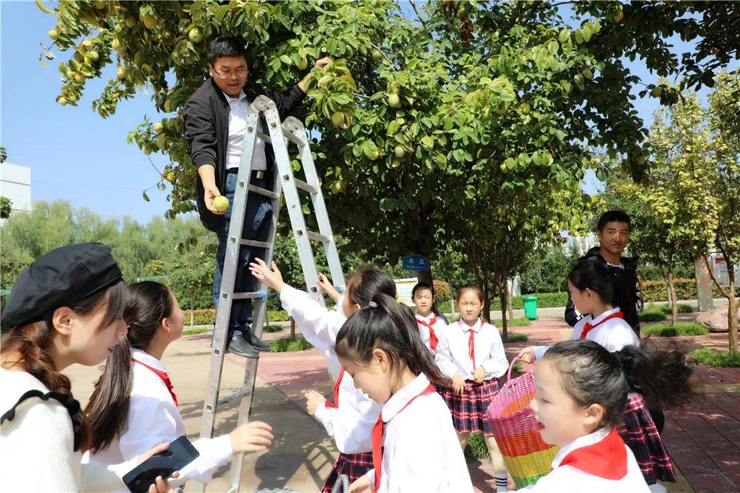 昆吾|木瓜情深 感恩莫忘丨濮阳市昆吾小学举行第三届“木瓜”主题文化活动