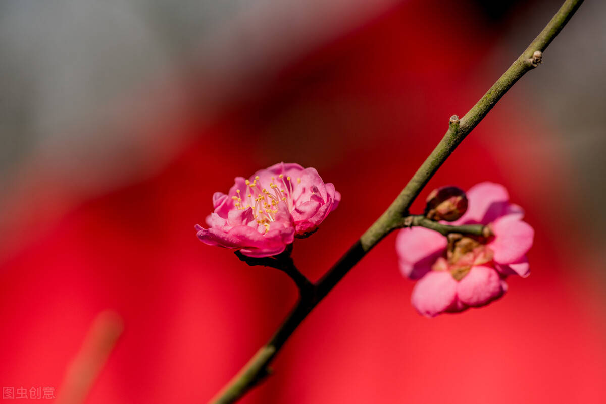 明日运势最好的三大星座 10月22号 综合 新闻时间