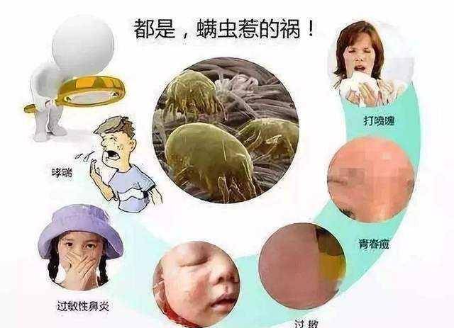 脸部脸部毛孔粗大？多半是螨虫作怪，坚持这个洗脸习惯，远离螨虫烦恼