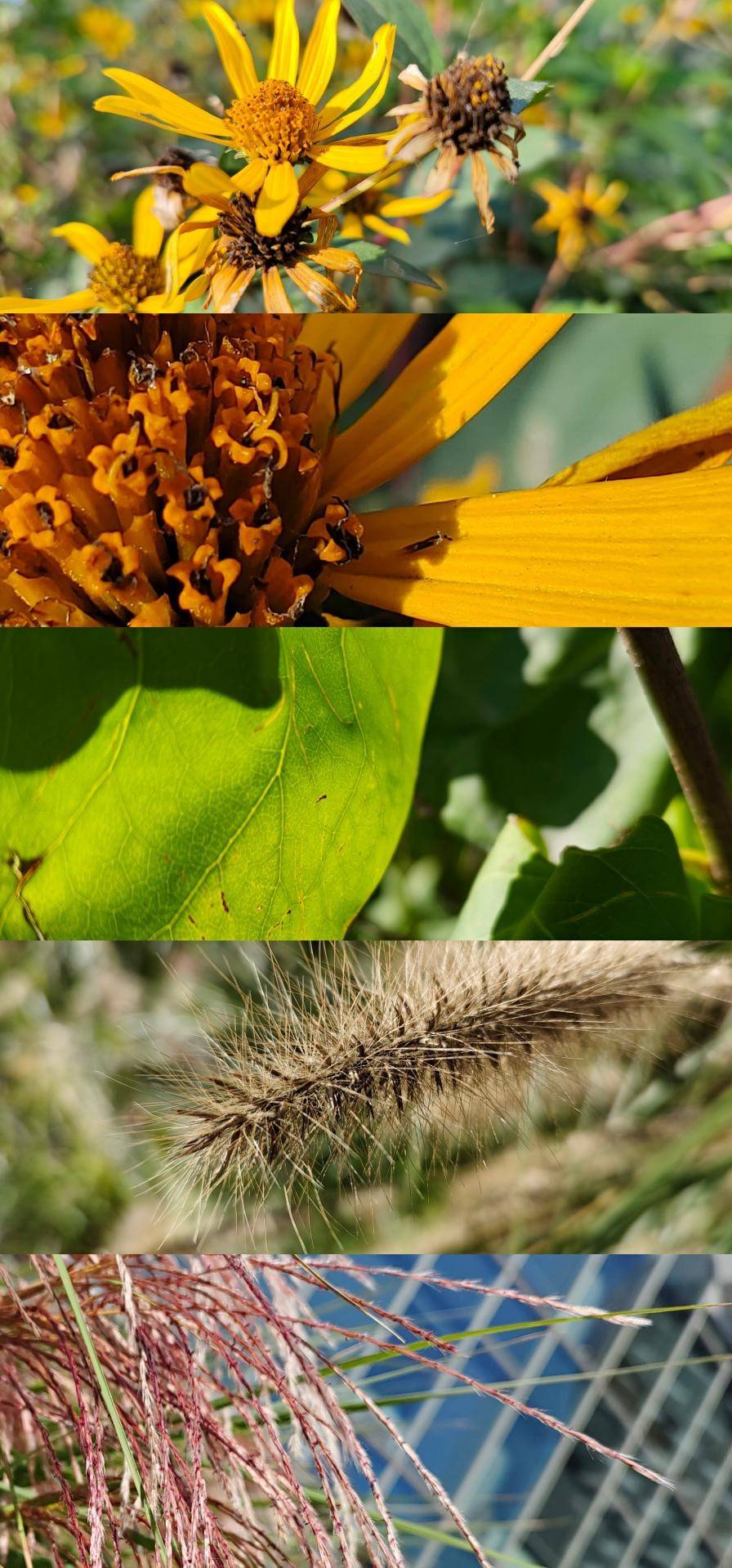 vivo X70 pro +测评：从消费者的实际使用需求去寻求技术突破口