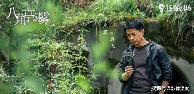 悬疑|《八角亭迷雾》太冤，豆瓣6分很不公平！为这部剧“讨回公道”