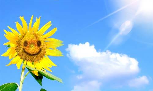 熬过"冷板凳",才能成为"人上人"