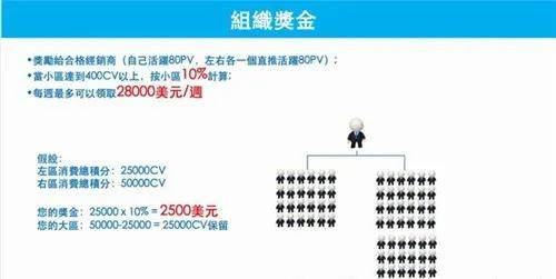 揭秘海粉宝宝背后的生态圈阴谋：遭遇集体讨债(图19)