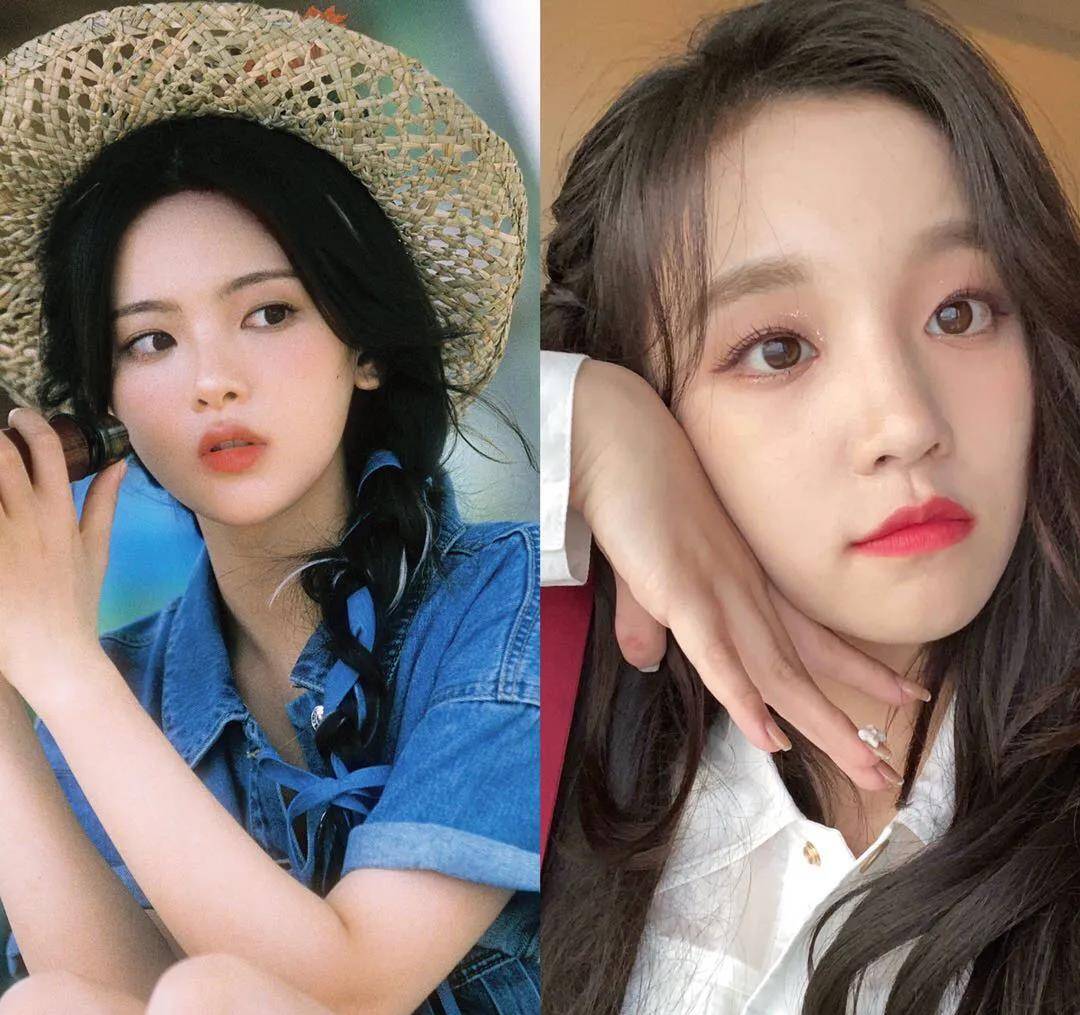 太阳女主持王一博佟丽娅陈都灵赵又廷巩俐李现水后