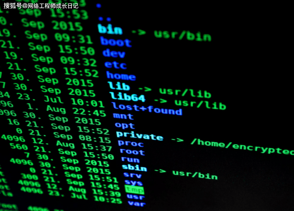 网络工程师的初级一般会学些什么呢？