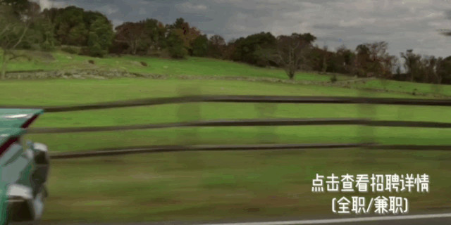 生活|不转发李云迪段子,是文明人最基本的体面