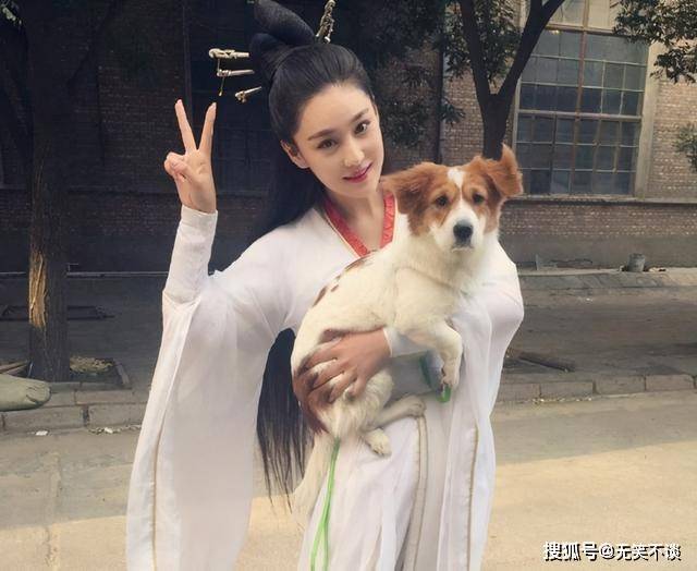 “狗官”是谁先喊的?秦始皇:皇帝犬。刘邦:功狗。汉灵帝:爱卿_萧何