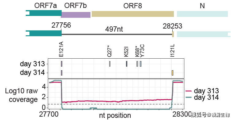 症状|全世界最漫长新冠感染：从癌症中康复后，她在新冠中挣扎了335天