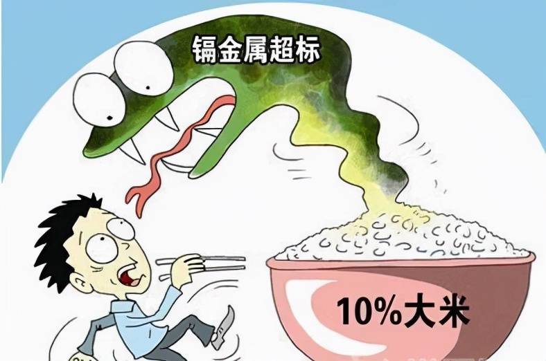 袁爷爷的毕生所愿实现 大米重金属镉快检仪来为我们的身体把关 检测 全网搜