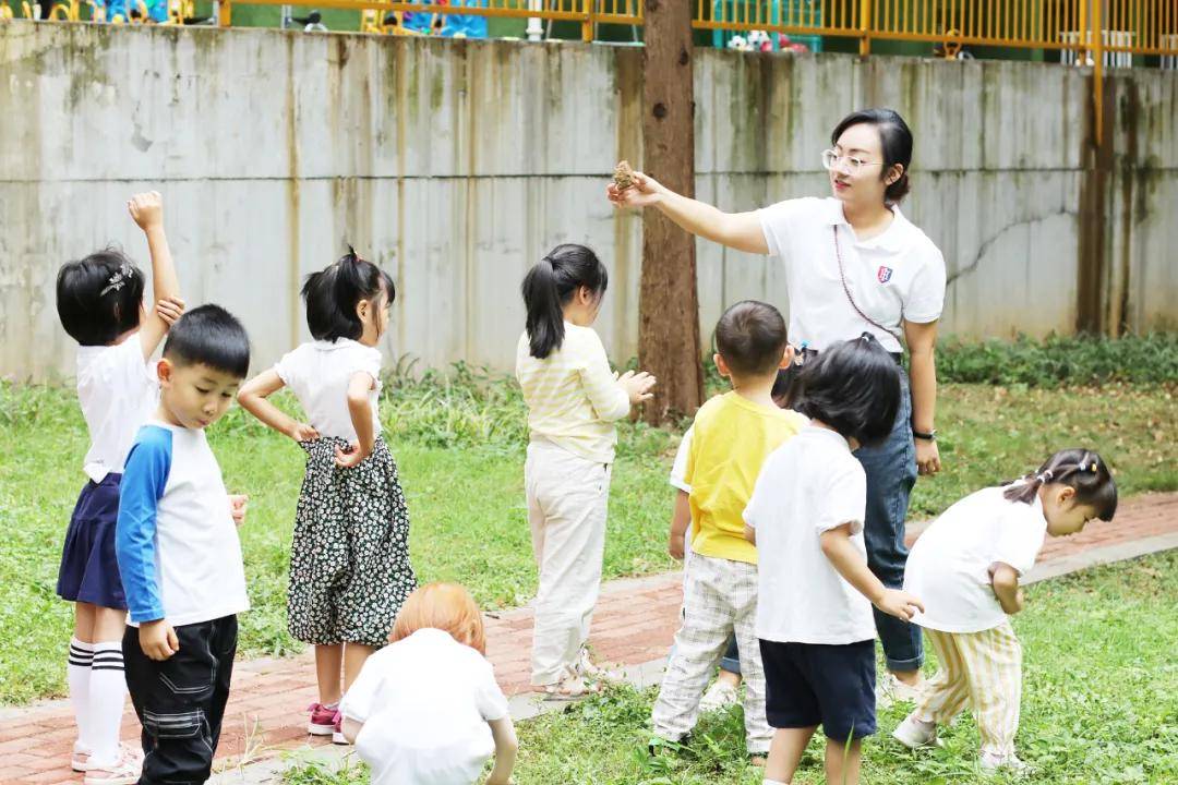 教学|【教师专访第一期】她将一份细水长流的热爱，变成默默无闻的坚守