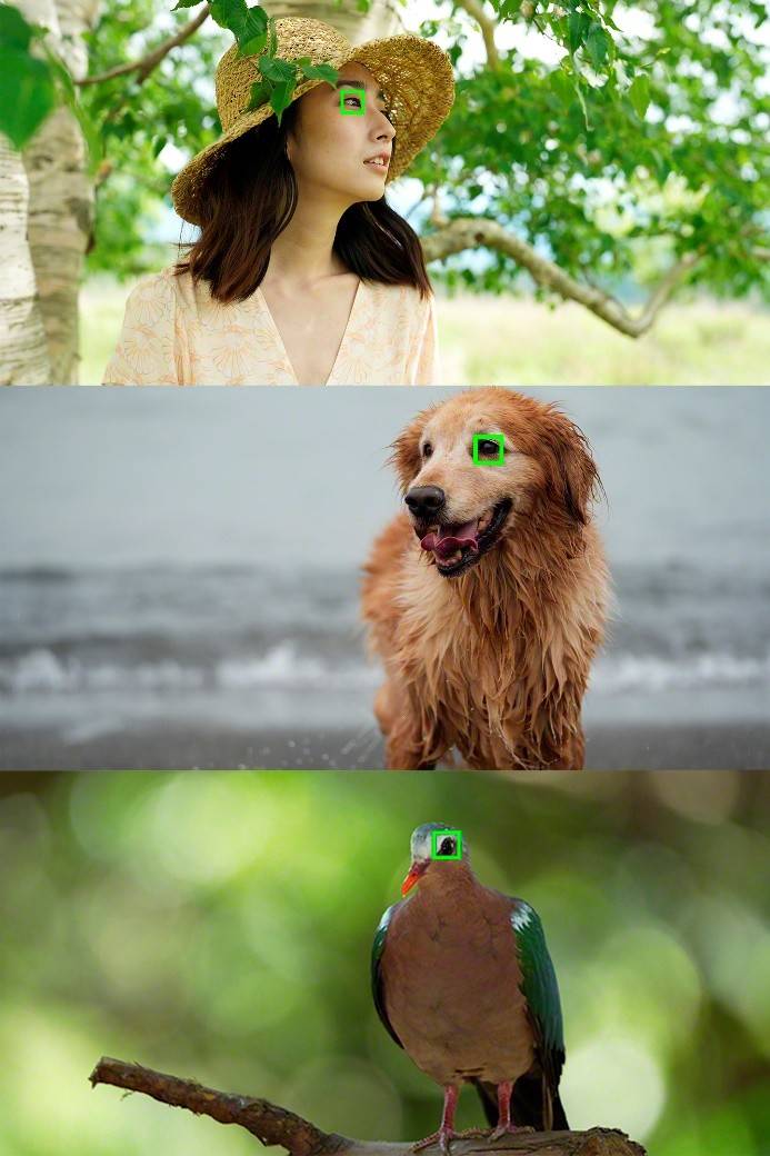 对焦+防抖重大升级！ 索尼A7M4照片、视频双升级