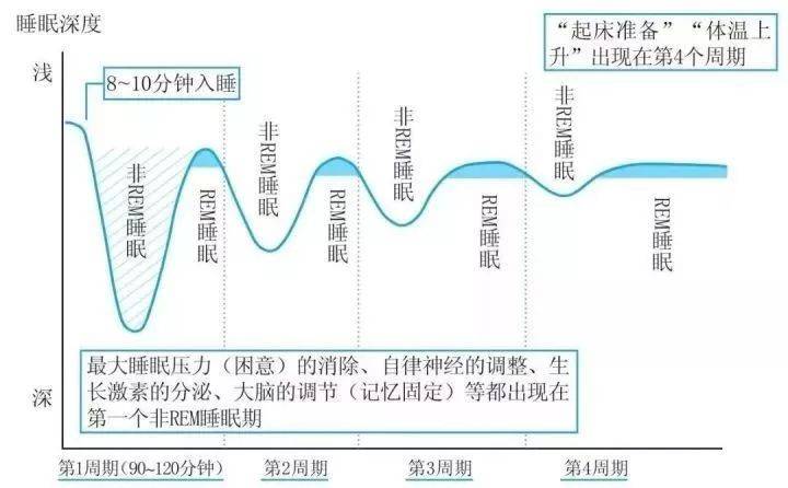 时间|“熬的是命啊！”高三学霸过劳猝死：高中生几点睡才算熬夜？