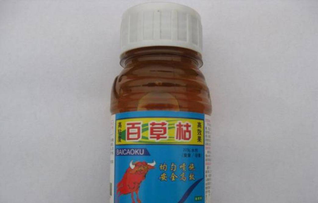 普通人的心,大部分人都关心她的现状,而另一部分则关注百草枯这种农药