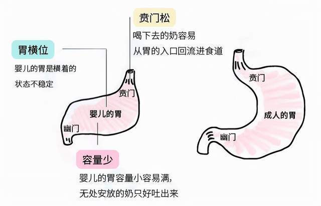 新手妈妈应该如何应对宝宝倒奶的问题?