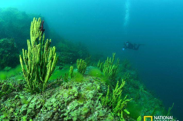 世界上最深的湖，贝加尔湖为什么如此之深？其中的原因在哪？