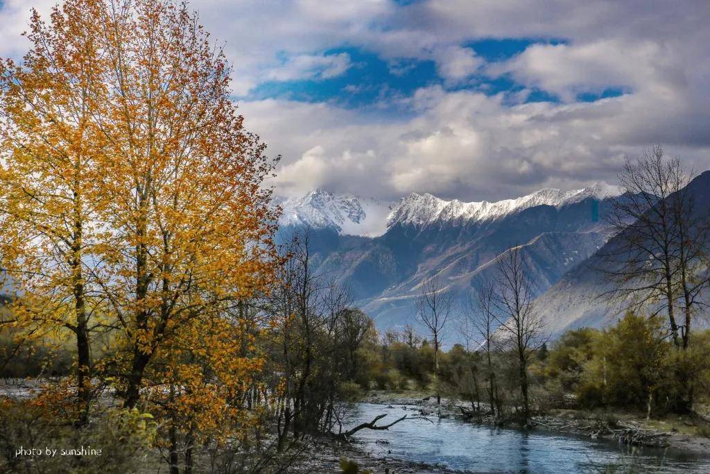 秋色撩人来波密这三个免门票的景区赏秋
