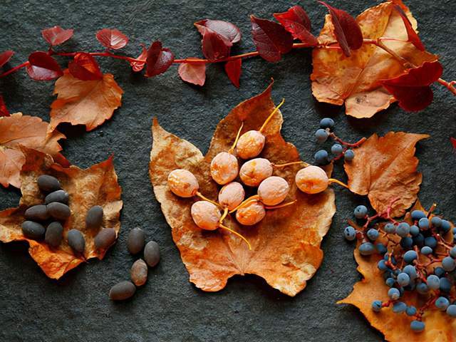 周女士|近期，很多人由于此“果”中毒！街头有很多，真心不能随意吃