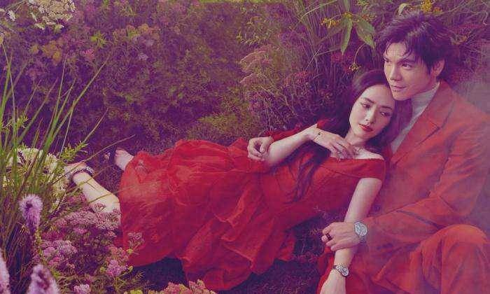 郭碧婷|郭碧婷大龄产女！未领证的婚姻能走多久？向家生男成谜